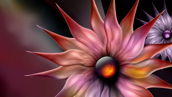 Обои с бабочками