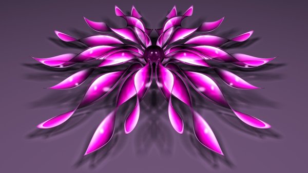 Цветы фэнтези