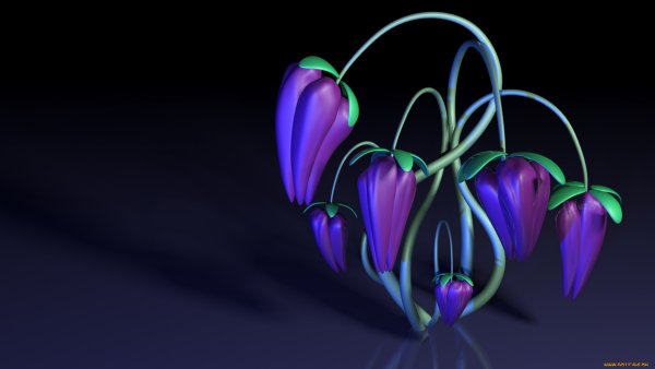 Лотус цветок фон