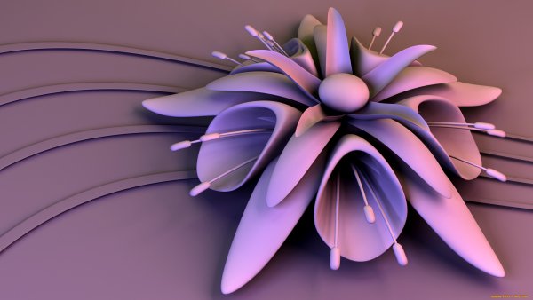 Красивые цветы гиф