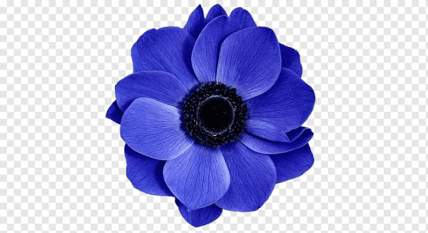 Пиала Синий цветок керамическая, 50 мл.
