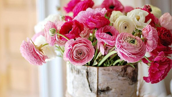 Красивый букет цветов для настроения