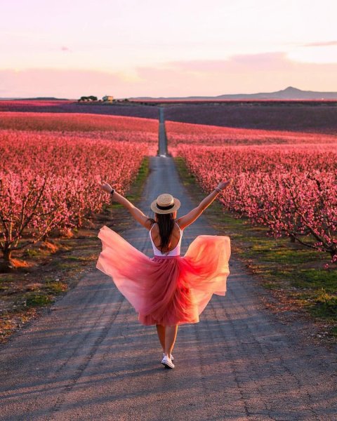 Екатерина Неделько