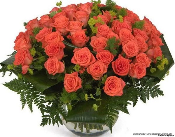 Букет роз с днем рождения