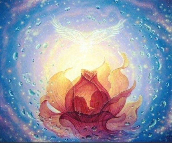 Лотос просветление