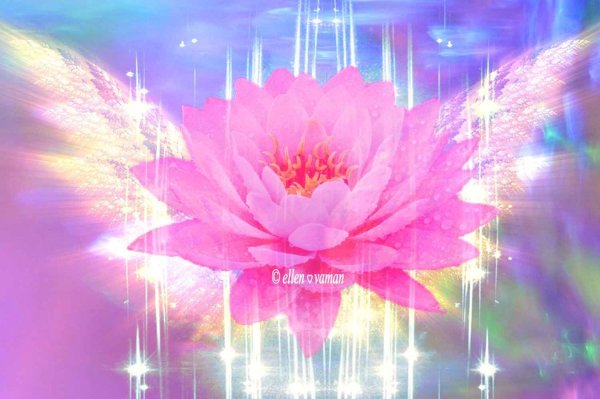 Сияющий Лотос