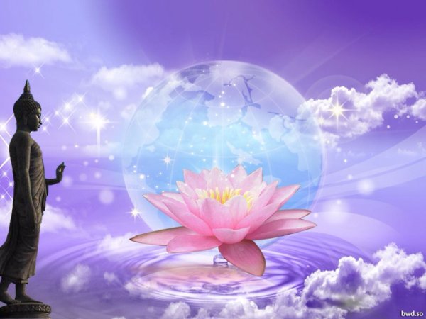 Лотос медитация