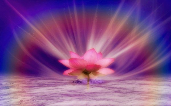 Цветок Духовность