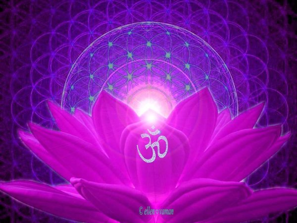 Лотус Крайон