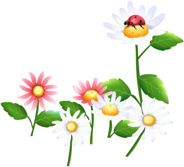 Цветочки на прозрачном фоне для детей