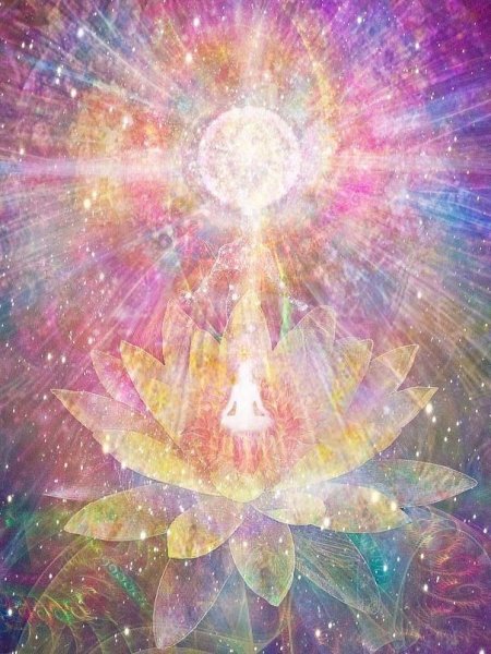 Эзотерические цветы