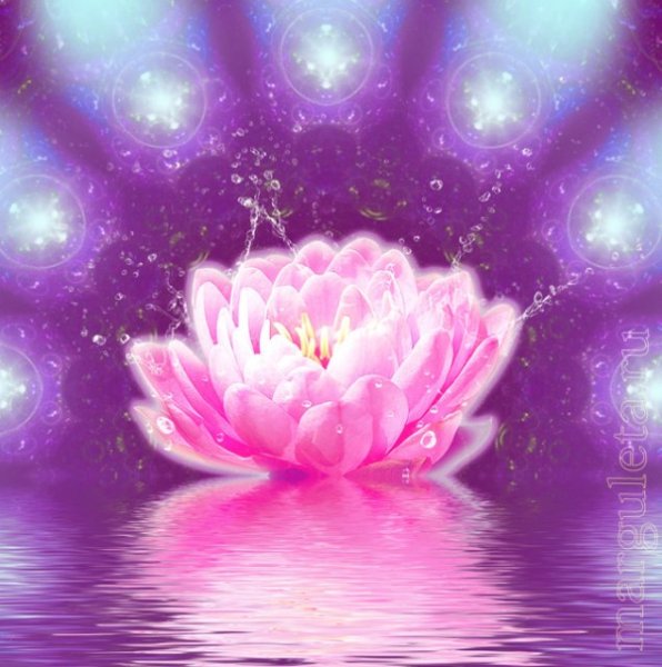 Цветок светится