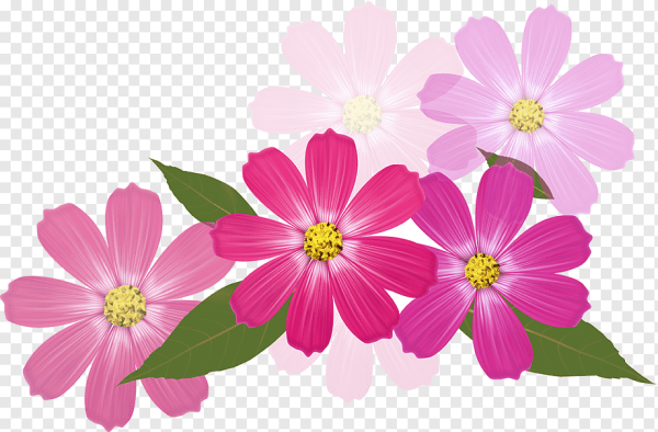 Маленькие цветочки на белом фоне