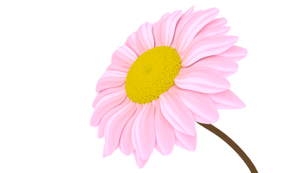 Цветочки на белом фоне