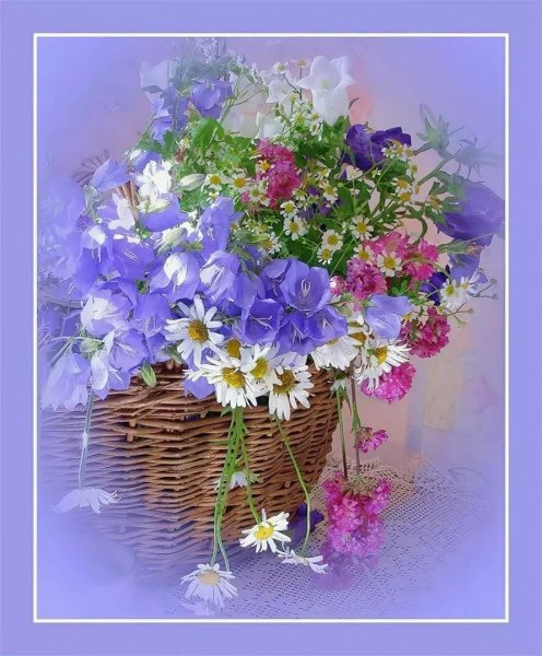 Букет ромашек открытка