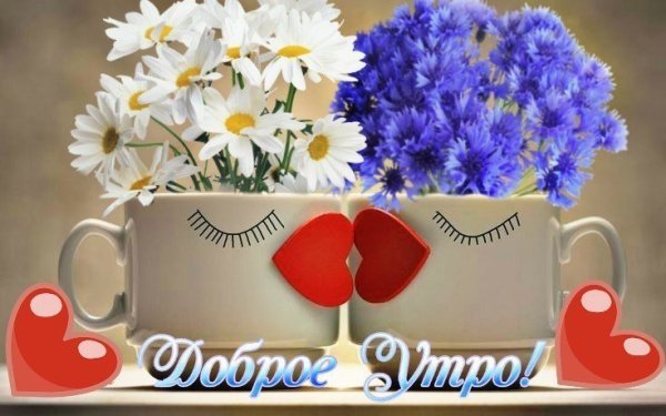 Доброго утра с цветами и надписью