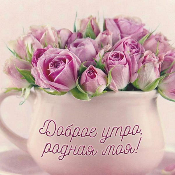 Нежные цветы в чашке