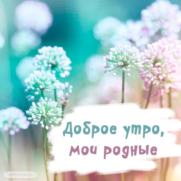 Доброе утро семья