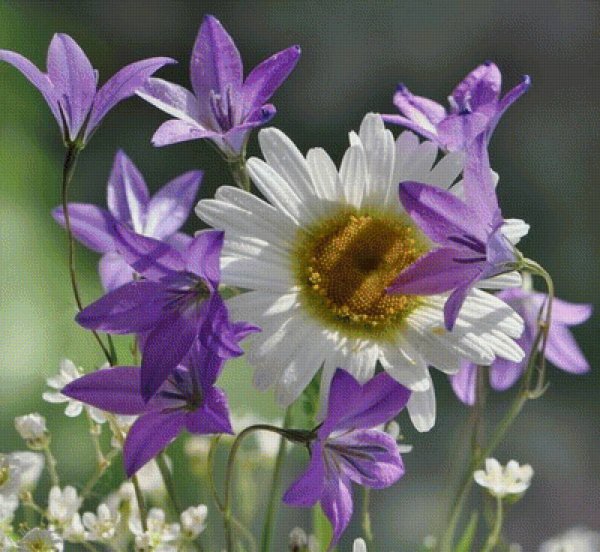 Летний букет