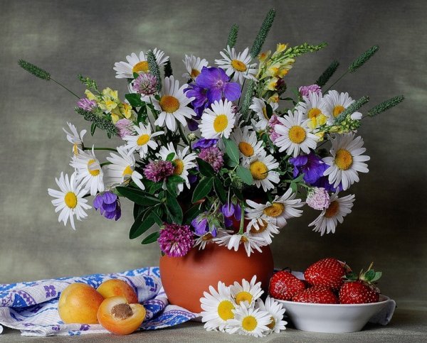 Доброе утро земля