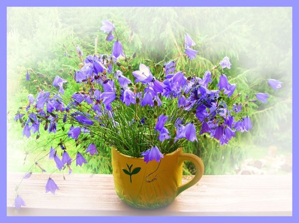 Моя Ромашковая Русь