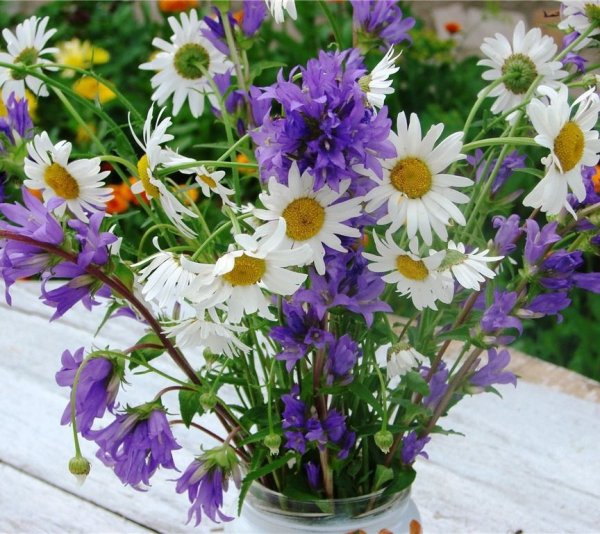 Букетик полевых цветов для тебя