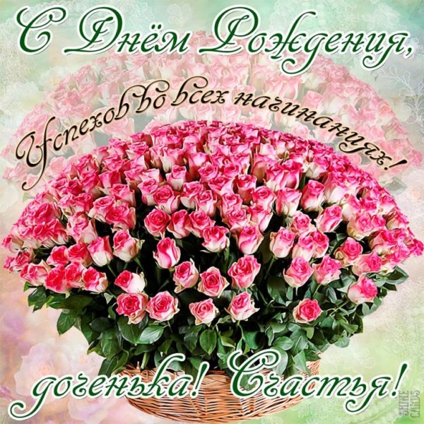 Букет роз с днем рождения