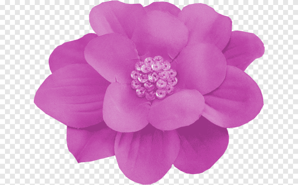 Фиолетовые цветы одиночные