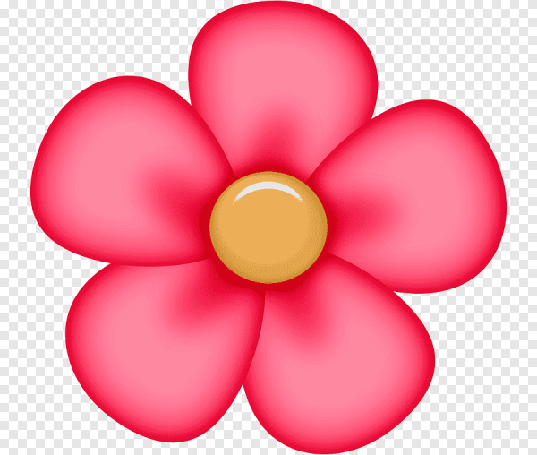 Гербера трансваальская Маргаритка