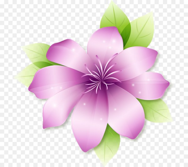 Цветы на прозрачном фоне