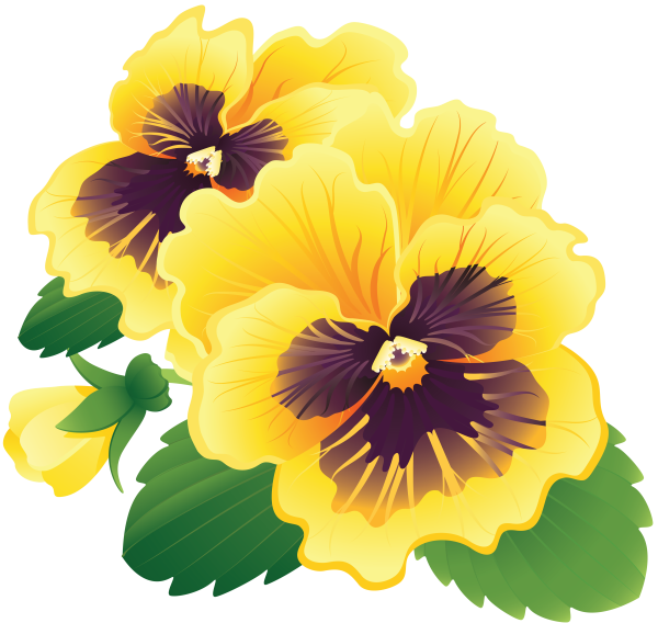 Лилия оранжевая