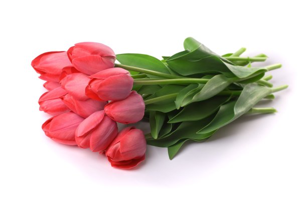 Весенние цветы