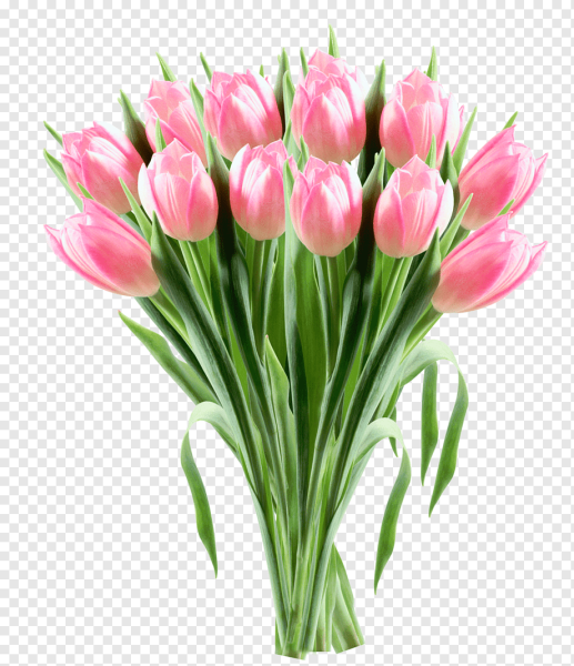 Рамка тюльпаны