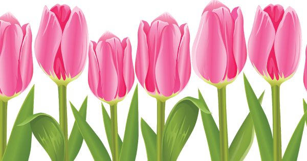 Букет тюльпанов