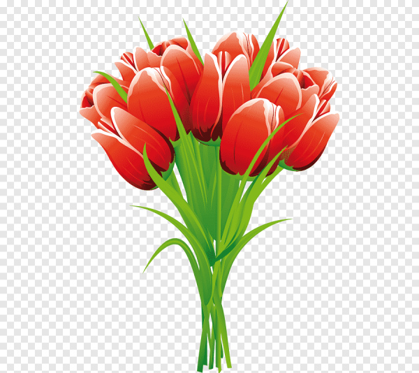 Букет цветов тюльпаны