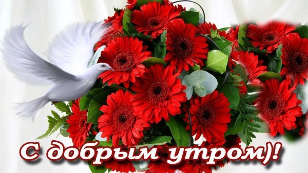 Доброе утро приятных выходных