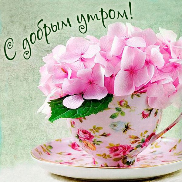 Нежные цветы в чашке