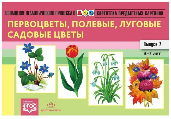 Наглядные пособия цветы