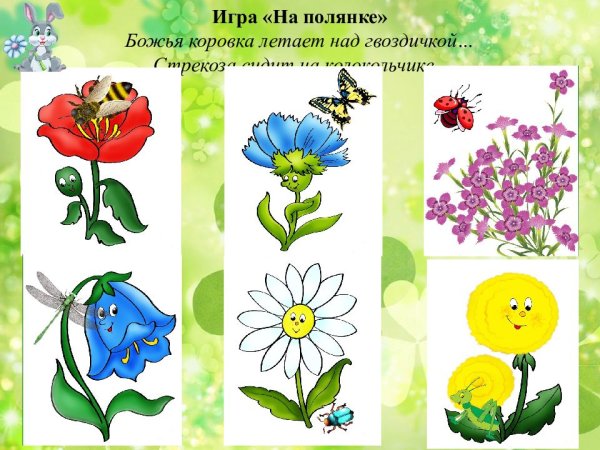Летние цветы для дошкольников