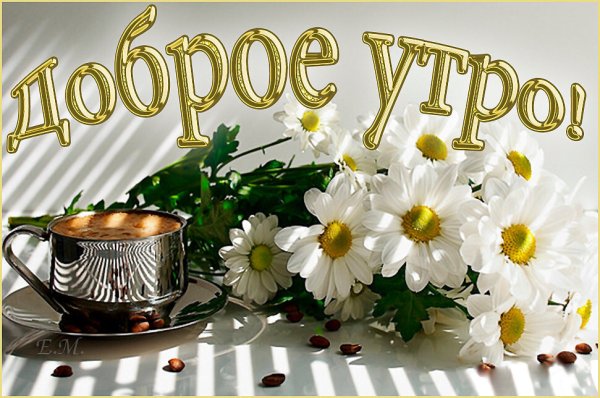 Открытки с добрым утром с ромашками