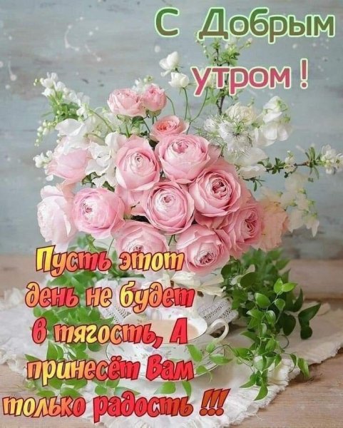 С добрым утром Светлана