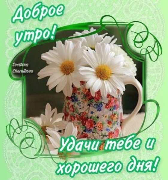 Красивые пожелания с добрым утром и хорошего дня