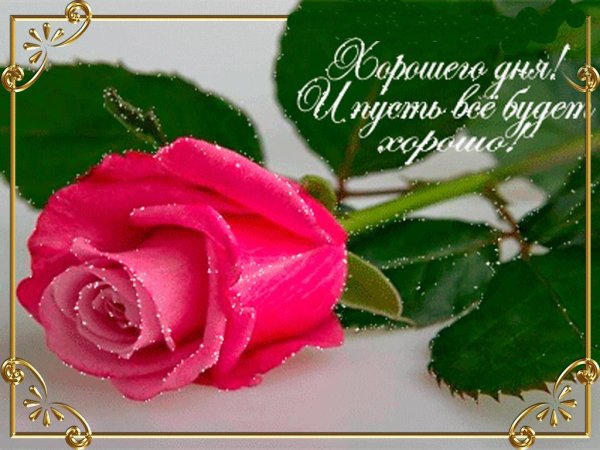 Открытки доброе утро с розами