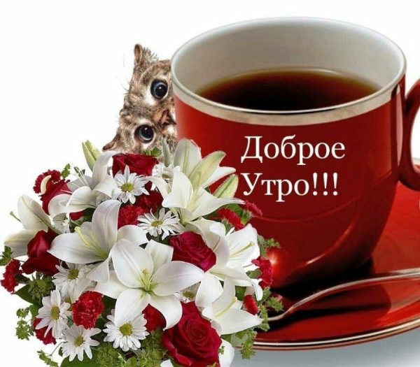Пожелания доброго утра