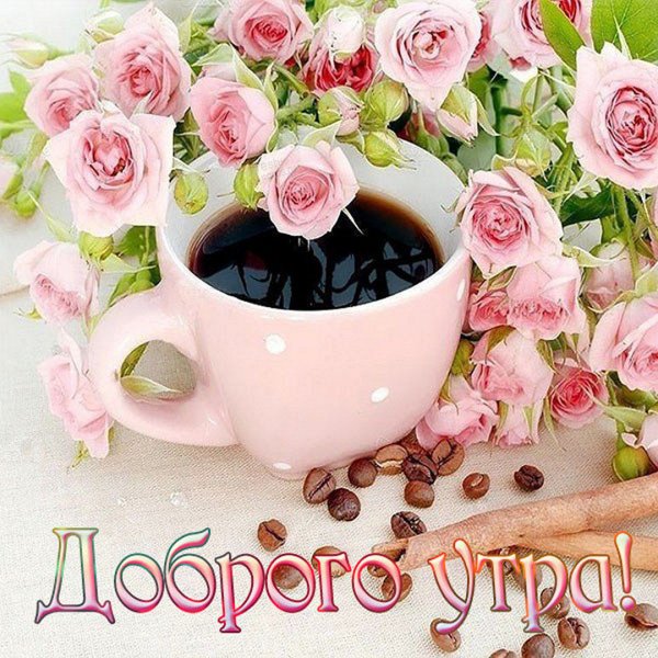 Доброе утро и отличного настроения