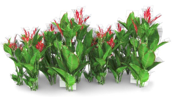 Растение Канны для фотошопа