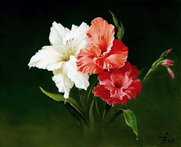 Корейский художник Kang Jung ho цветы