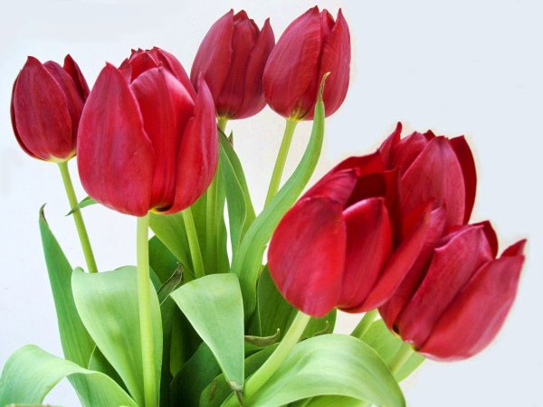 Поздравления с днём рождения Инне красивые