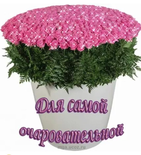 С днём рождения Лариса