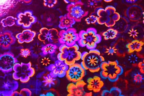 Голографические цветы